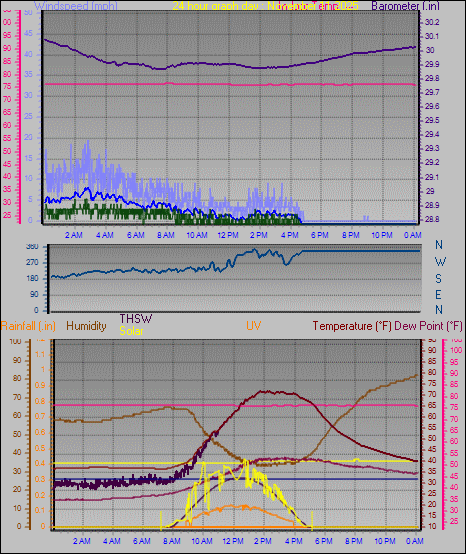 24 Hour Graph for Day 11
