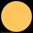 SDO/HMI Continuum Image of the Sun